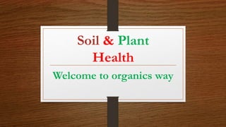 Soil & Plant
Health
Welcome to organics way
 
