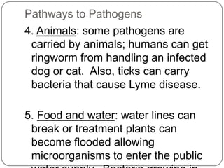Microorganism And Disease