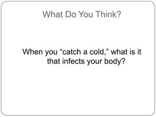 Microorganism And Disease