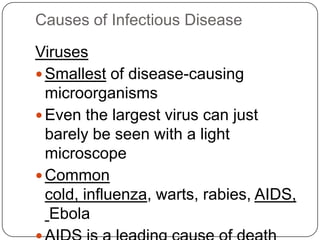 Microorganism And Disease