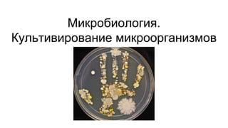 Микробиология.
Культивирование микроорганизмов
 