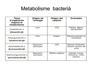 Metabolisme bacterià
 