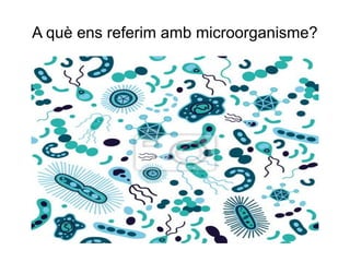A què ens referim amb microorganisme?
El terme microorganisme es poc exacte, en
qualsevol lloc s'inclouen:
 