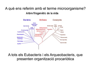 A què ens referim amb el terme microorganisme?
A tots els Eubacteris i els Arqueobacteris, que
presenten organització procariòtica
 
