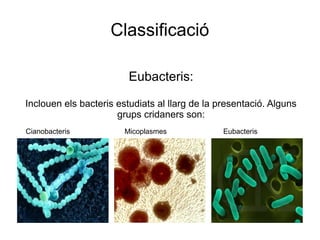 Classificació
Eubacteris:
Inclouen els bacteris estudiats al llarg de la presentació. Alguns
grups cridaners son:
Cianobacteris Micoplasmes Eubacteris
 