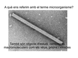 A què ens referim amb el terme microorganisme?
També són objecte d'estudi complexos
macromoleculars com els virus, prions i viroides
 