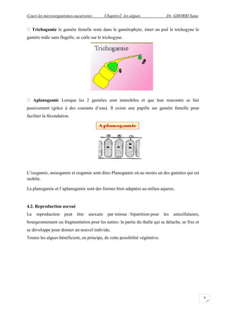 microorganismes eucaryotes.pdf