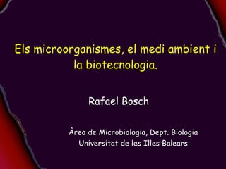 Els microorganismes, el medi ambient i la biotecnologia. Rafael Bosch Àrea de Microbiologia, Dept. Biologia Universitat de les Illes Balears 