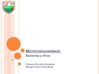 Microorganismos Bacterias y Virus Profesora Pilar Silva Constanzo Biología Común Cuarto Medio 