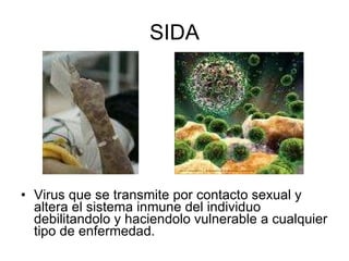 SIDA Virus que se transmite por contacto sexual y altera el sistema inmune del individuo debilitandolo y haciendolo vulnerable a cualquier tipo de enfermedad. 