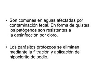 Son comunes en aguas afectadas por contaminación fecal. En forma de quistes los patógenos son resistentes a la desinfección por cloro.  Los parásitos protozoos se eliminan mediante la filtración y aplicación de hipoclorito de sodio. 