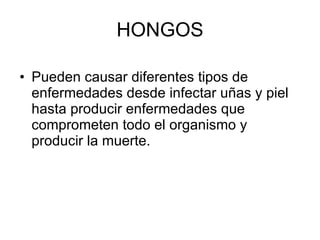 HONGOS Pueden causar diferentes tipos de enfermedades desde infectar uñas y piel hasta producir enfermedades que comprometen todo el organismo y producir la muerte. 