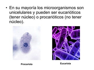 En su mayoría los microorganismos son unicelulares y pueden ser eucarióticos (tener núcleo) o procarióticos (no tener núcleo). Procariota Eucariota 