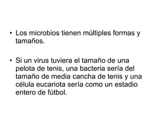 Los microbios tienen múltiples formas y tamaños.  Si un virus tuviera el tamaño de una pelota de tenis, una bacteria sería del tamaño de media cancha de tenis y una célula eucariota sería como un estadio entero de fútbol.  