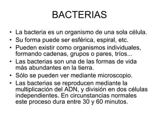 BACTERIAS La bacteria es un organismo de una sola célula.  Su forma puede ser esférica, espiral, etc.  Pueden existir como organismos individuales, formando cadenas, grupos o pares, tríos...  Las bacterias son una de las formas de vida más abundantes en la tierra. Sólo se pueden ver mediante microscopio.  Las bacterias se reproducen mediante la multiplicación del ADN, y división en dos células independientes. En circunstancias normales este proceso dura entre 30 y 60 minutos.  
