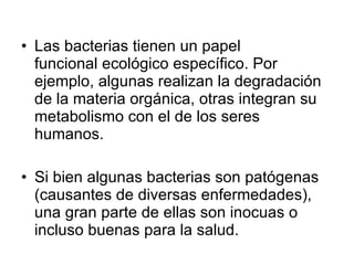Las bacterias tienen un papel funcional ecológico específico. Por ejemplo, algunas realizan la degradación de la materia orgánica, otras integran su metabolismo con el de los seres humanos. Si bien algunas bacterias son patógenas (causantes de diversas enfermedades), una gran parte de ellas son inocuas o incluso buenas para la salud. 