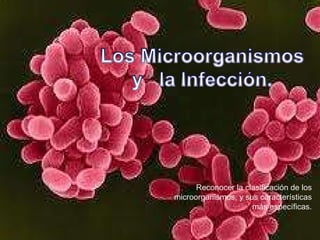 Reconocer la clasificación de los microorganismos, y sus características más específicas. 