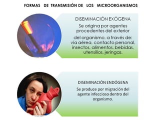 FORMAS  DE  TRANSMISIÓN DE  LOS  MICROORGANISMOS 