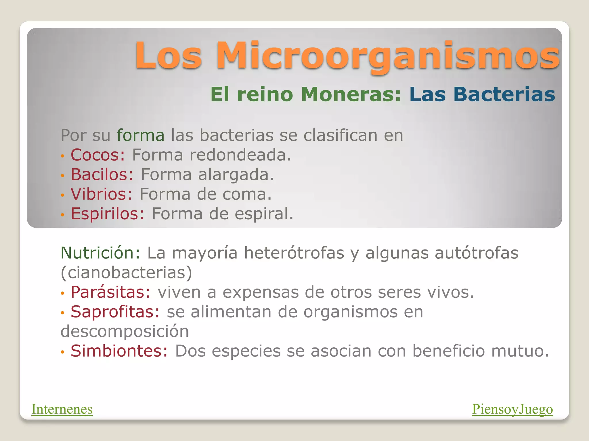 Microorganismos | PDF