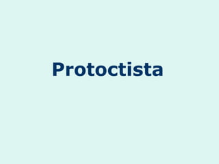 Protoctista
