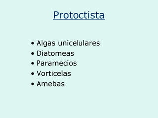 Protoctista
• Algas unicelulares
• Diatomeas
• Paramecios
• Vorticelas
• Amebas