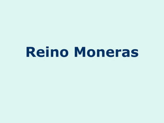 Reino Moneras