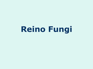 Reino Fungi