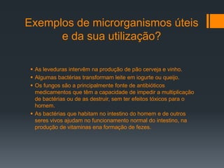 Exemplos de microrganismos úteis
e da sua utilização?
 As leveduras intervêm na produção de pão cerveja e vinho.
 Algumas bactérias transformam leite em iogurte ou queijo.
 Os fungos são a principalmente fonte de antibióticos
medicamentos que têm a capacidade de impedir a multiplicação
de bactérias ou de as destruir, sem ter efeitos tóxicos para o
homem.
 As bactérias que habitam no intestino do homem e de outros
seres vivos ajudam no funcionamento normal do intestino, na
produção de vitaminas ena formação de fezes.
 