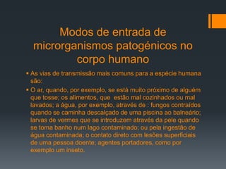Modos de entrada de
microrganismos patogénicos no
corpo humano
 As vias de transmissão mais comuns para a espécie humana
são:
 O ar, quando, por exemplo, se está muito próximo de alguém
que tosse; os alimentos, que estão mal cozinhados ou mal
lavados; a água, por exemplo, através de : fungos contraídos
quando se caminha descalçado de uma piscina ao balneário;
larvas de vermes que se introduzem através da pele quando
se toma banho num lago contaminado; ou pela ingestão de
água contaminada; o contato direto com lesões superficiais
de uma pessoa doente; agentes portadores, como por
exemplo um inseto.
 