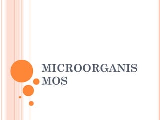 MICROORGANIS 
MOS 
 
