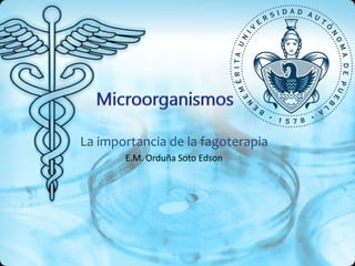 La importancia de la fagoterapia 
E.M. Orduña Soto Edson 
 