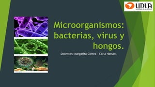 Microorganismos:
bacterias, virus y
hongos.
Docentes: Margarita Correa – Carla Hassan.
 