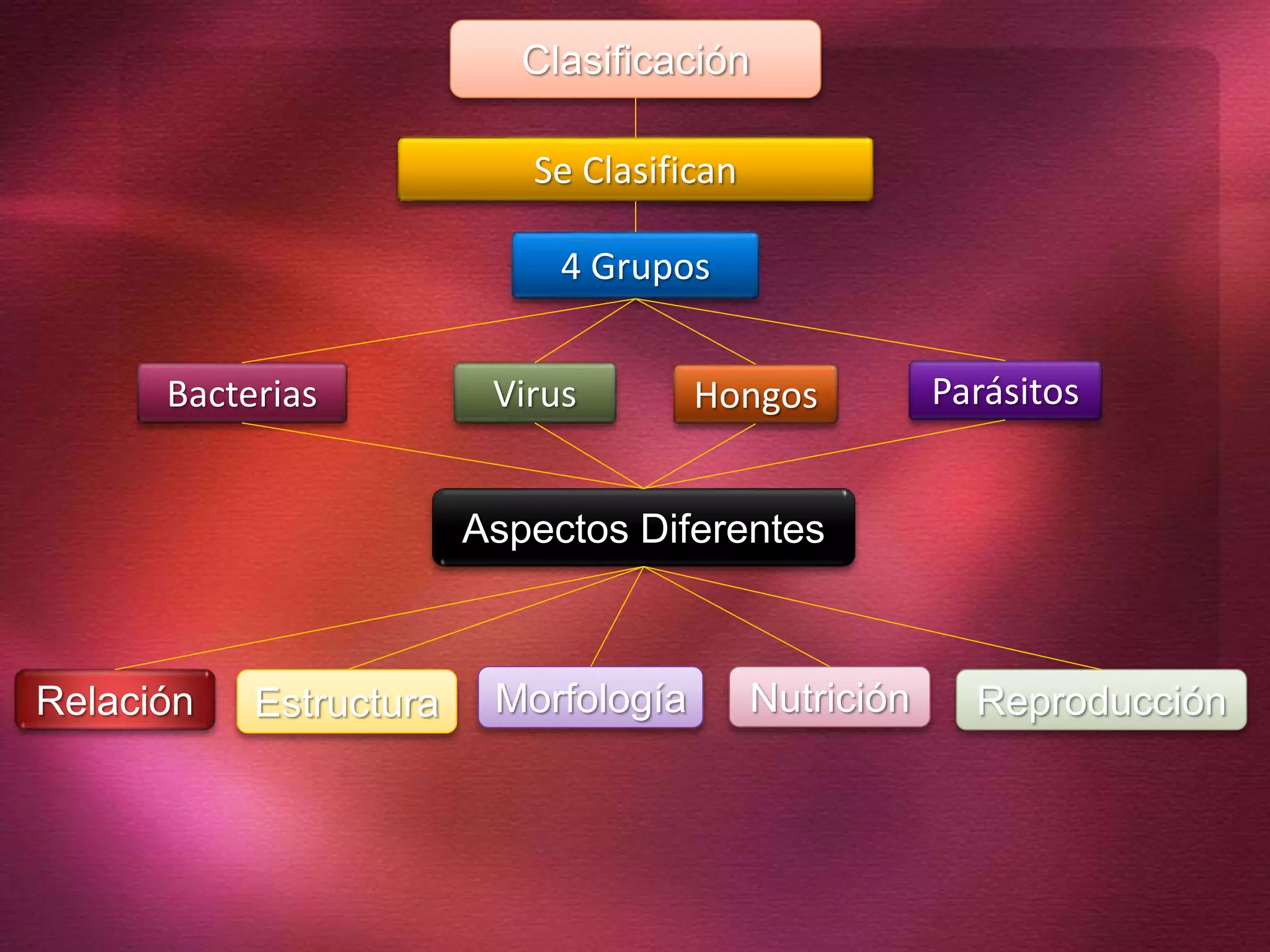 Bacterias
4 Grupos
Se Clasifican
ParásitosHongosVirus
Relación
Aspectos Diferentes
Clasificación
Morfología ReproducciónEstructura Nutrición
 