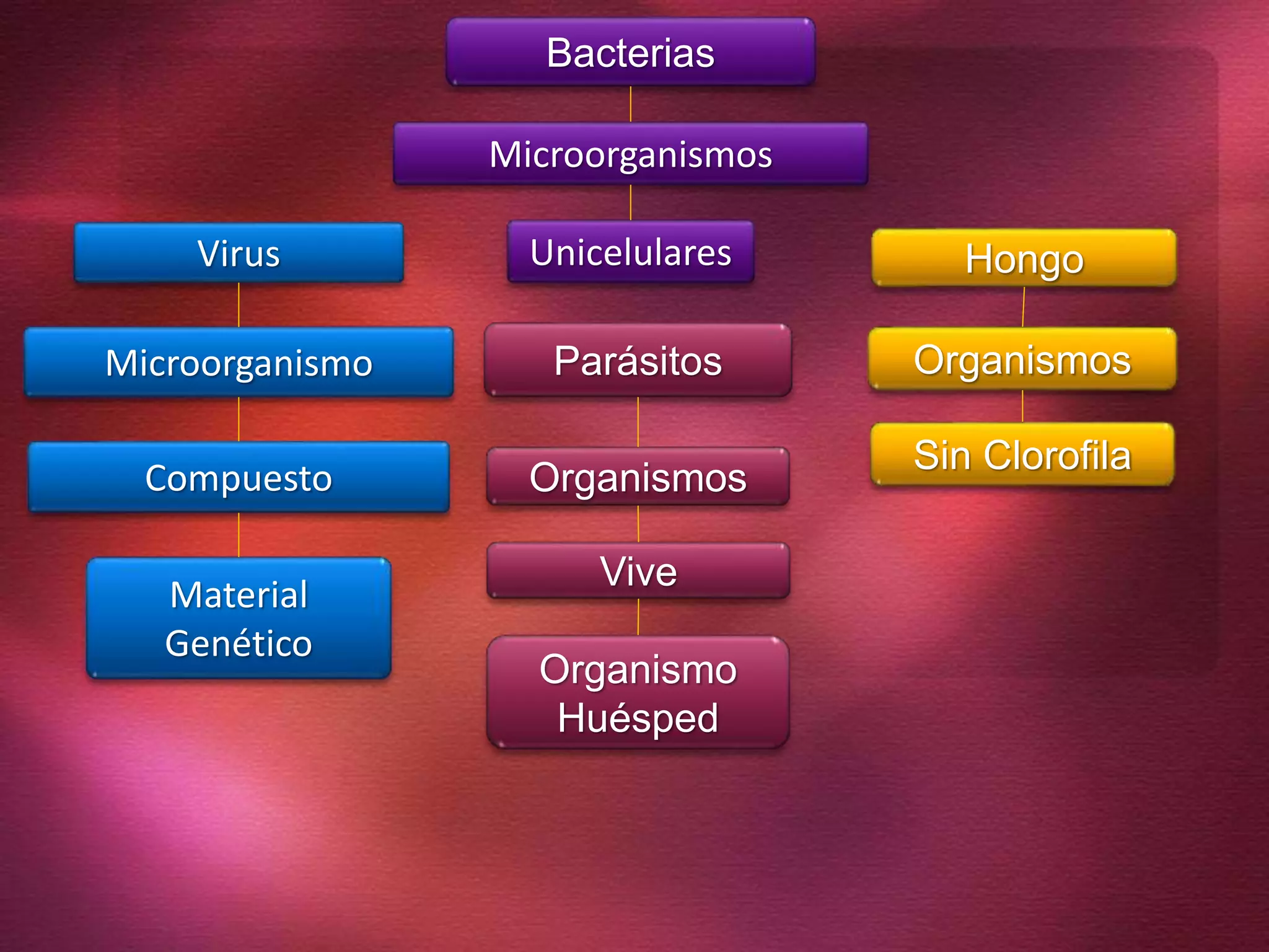 Virus Unicelulares
Microorganismos
Material
Genético
Compuesto
Microorganismo
Hongo
Organismos
Bacterias
Sin Clorofila
Parásitos
Vive
Organismos
Organismo
Huésped
 