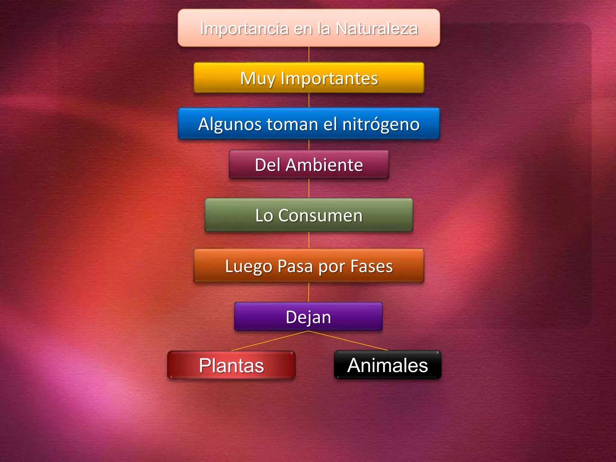Del Ambiente
Algunos toman el nitrógeno
Muy Importantes
Dejan
Luego Pasa por Fases
Lo Consumen
Plantas Animales
Importancia en la Naturaleza
 