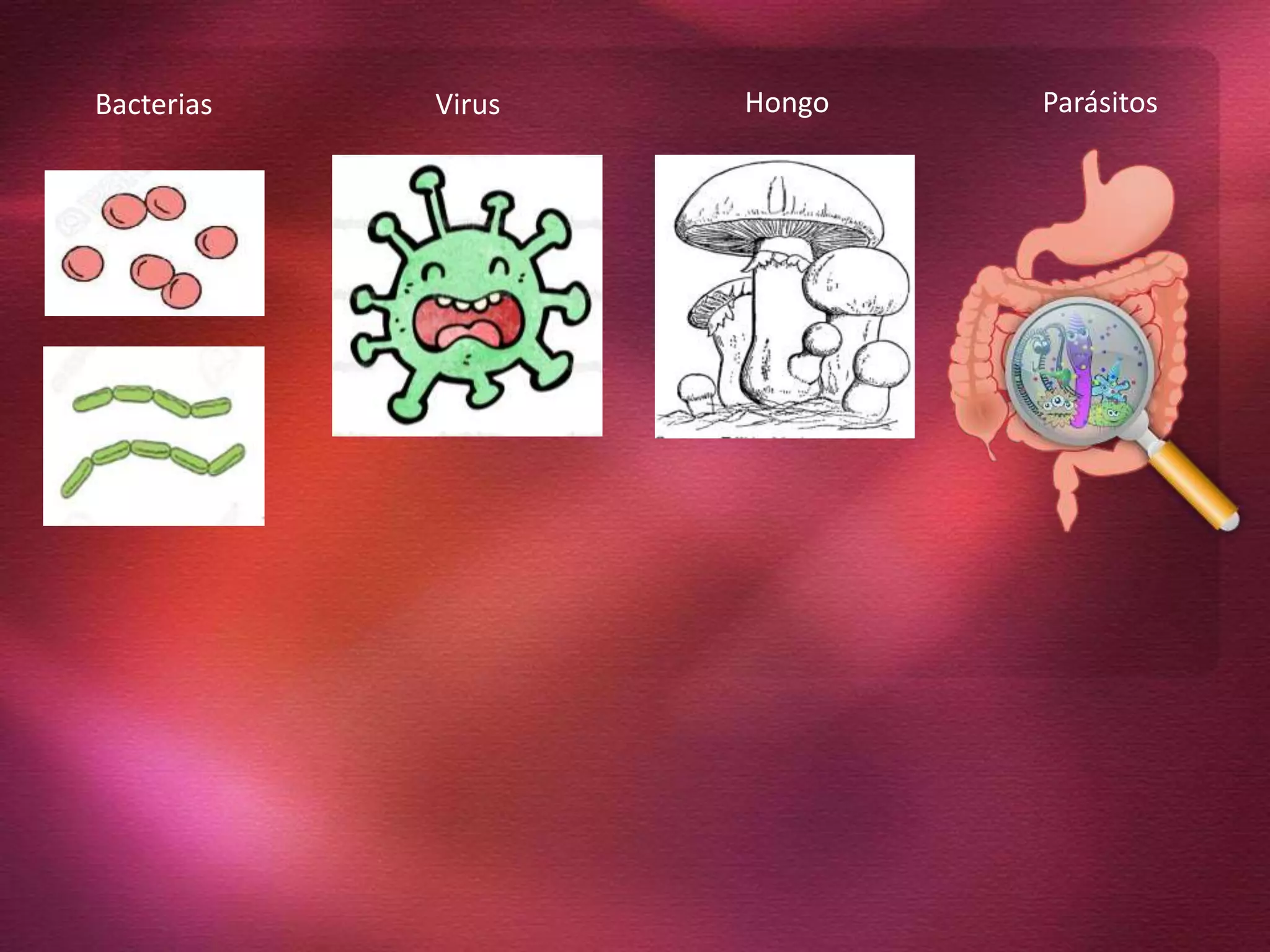 Bacterias Virus Hongo Parásitos
 