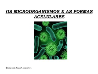 OS MICROORGANISMOS E AS FORMAS
ACELULARES
Profesor: Adán Gonçalves
 