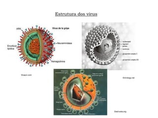 Estrutura dos virus
©aid-sida.org
©virology.net
©cepvi.com
 