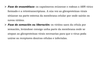  Fase de ensamblaxe: os capsómeros reúnense e rodean o ARN vírico
formado e a retrotranscriptasa. A súa vez as glicoproteínas virais
sitúanse na parte externa da membrana celular por onde sairán os
novos virións.
 Fase de xemación ou liberación: os virións saen da célula por
xemación, levándose consigo unha parte da membrana onde se
atopan as glicoproteínas virais necesarias para que o virus poda
unirse os receptores doutras células e infectalas.
 