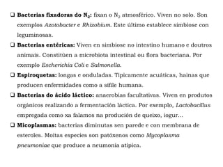  Bacterias fixadoras do N2: fixan o N2 atmosférico. Viven no solo. Son
exemplos Azotobacter e Rhizobium. Este último establece simbiose con
leguminosas.
 Bacterias entéricas: Viven en simbiose no intestino humano e doutros
animais. Constitúen a microbiota intestinal ou flora bacteriana. Por
exemplo Escherichia Coli e Salmonella.
 Espiroquetas: longas e onduladas. Tipicamente acuáticas, hainas que
producen enfermidades como a sífile humana.
 Bacterias do ácido láctico: anaerobias facultativas. Viven en produtos
orgánicos realizando a fermentación láctica. Por exemplo, Lactobacillus
empregada como xa falamos na produción de queixo, iogur...
 Micoplasmas: bacterias diminutas sen parede e con membrana de
esteroles. Moitas especies son patóxenos como Mycoplasma
pneumoniae que produce a neumonía atípica.
 