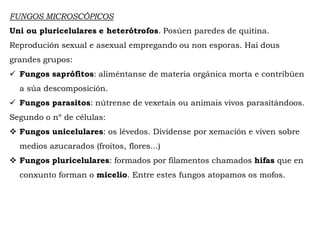 FUNGOS MICROSCÓPICOS
Uni ou pluricelulares e heterótrofos. Posúen paredes de quitina.
Reprodución sexual e asexual empregando ou non esporas. Hai dous
grandes grupos:
 Fungos saprófitos: aliméntanse de materia orgánica morta e contribúen
a súa descomposición.
 Fungos parasitos: nútrense de vexetais ou animais vivos parasitándoos.
Segundo o nº de células:
 Fungos unicelulares: os lévedos. Divídense por xemación e viven sobre
medios azucarados (froitos, flores...)
 Fungos pluricelulares: formados por filamentos chamados hifas que en
conxunto forman o micelio. Entre estes fungos atopamos os mofos.
 