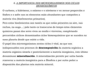 6. A IMPORTANCIA DOS MICROORGANISMOS NOS CICLOS
BIOXEOQUÍMICOS
O carbono, o hidróxeno, o osíxeno e o nitróxeno e en menor proporción o
fósforo e o xofre son os elementos máis abundantes que compoñen a
materia viva (bioelementos primarios).
Pero estos bioelementos son tamén os que están presentes no aire, nas
rochas, na auga…; polo tanto co transcurso do tempo estos elementos
químicos pasan dos seres vivos ao medio e viceversa, completando
percorridos cíclicos denominados ciclos bioxeoquímicos que se suceden no
noso planeta dende que existe a vida.
O papel dos microorganismos nestos ciclos é vital, xa que son
indispensables nos procesos de descomposición da materia orgánica a
materia orgánica sinxela e posteriormente a materia inorgánica, esto último
denomínase mineralización. A mineralización permite por unha banda
rexenerar a materia inorgánica para a Biosfera e por outra poñer a
disposición das plantas esta materia mineral.
 