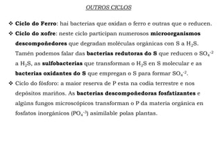 OUTROS CICLOS
 Ciclo do Ferro: hai bacterias que oxidan o ferro e outras que o reducen.
 Ciclo do xofre: neste ciclo participan numerosos microorganismos
descompoñedores que degradan moléculas orgánicas con S a H2S.
Tamén podemos falar das bacterias redutoras do S que reducen o SO4
-2
a H2S, as sulfobacterias que transforman o H2S en S molecular e as
bacterias oxidantes do S que empregan o S para formar SO4
-2.
 Ciclo do fósforo: a maior reserva de P esta na codia terrestre e nos
depósitos mariños. As bacterias descompoñedoras fosfatizantes e
algúns fungos microscópicos transforman o P da materia orgánica en
fosfatos inorgánicos (PO4
-3) asimilable polas plantas.
 