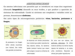 Os axentes infecciosos son parasitos que se introducen no corpo dun organismo
(chamado hospedeiro) danando os seus tecidos, o que produce a aparición de
síntomas da enfermidade. Cando os síntomas son complexos e variables entre as
persoas, denomínanse síndrome.
Hai catro tipos de microorganismos patóxenos: virus, bacterias, protozoos e
fungos.
Os virus non son células, son
partículas infecciosas. Só teñen
material xenético no interior dunha
cápsula de proteínas e, ás veces,
unha membrana. Necesitan ás
células para poder reproducirse.
As bacterias son células procariotas
(sen núcleo) que poden reproducirse
fóra doutras células. As bacterias
poden producir toxinas que viaxan
polo sangue e causan os síntomas da
enfermidade.
Os protozoos e os fungos
teñen células eucariotas
(con núcleo). Son moito
máis grandes cás bacterias.
AXENTES INFECCIOSOS
 
