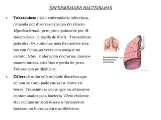  Tuberculose (tise): enfermidade infecciosa,
causada por diversas especies do xénero
Mycobacterium, pero principalmente por M.
tuberculosis , o bacilo de Koch. Transmítese
polo aire. Os síntomas más frecuentes son:
tos con flema, as veces con sangue no
esputo, febre, sudoración nocturna, mareos
momentáneos, calafríos e perda de peso.
Trátase con antibióticos.
 Cólera: é unha enfermidade diarréica que
se non se trata pode causar a morte en
horas. Transmítese por augas ou alimentos
contaminados pola bacteria Vibrio cholerae.
Hai vacinas anticoléricas e o tratamento
baséase na hidratación e antibióticos.
ENFERMIDADES BACTERIANAS
 