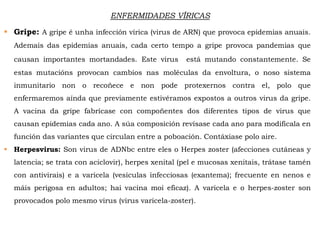 ENFERMIDADES VÍRICAS
 Gripe: A gripe é unha infección vírica (virus de ARN) que provoca epidemias anuais.
Ademais das epidemias anuais, cada certo tempo a gripe provoca pandemias que
causan importantes mortandades. Este virus está mutando constantemente. Se
estas mutacións provocan cambios nas moléculas da envoltura, o noso sistema
inmunitario non o recoñece e non pode protexernos contra el, polo que
enfermaremos aínda que previamente estivéramos expostos a outros virus da gripe.
A vacina da gripe fabrícase con compoñentes dos diferentes tipos de virus que
causan epidemias cada ano. A súa composición revísase cada ano para modificala en
función das variantes que circulan entre a poboación. Contáxiase polo aire.
 Herpesvirus: Son virus de ADNbc entre eles o Herpes zoster (afecciones cutáneas y
latencia; se trata con aciclovir), herpes xenital (pel e mucosas xenitais, trátase tamén
con antivirais) e a varicela (vesículas infecciosas (exantema); frecuente en nenos e
máis perigosa en adultos; hai vacina moi eficaz). A varicela e o herpes-zoster son
provocados polo mesmo virus (virus varicela-zoster).
 