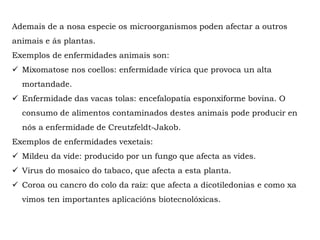 Ademais de a nosa especie os microorganismos poden afectar a outros
animais e ás plantas.
Exemplos de enfermidades animais son:
 Mixomatose nos coellos: enfermidade vírica que provoca un alta
mortandade.
 Enfermidade das vacas tolas: encefalopatía esponxiforme bovina. O
consumo de alimentos contaminados destes animais pode producir en
nós a enfermidade de Creutzfeldt-Jakob.
Exemplos de enfermidades vexetais:
 Mildeu da vide: producido por un fungo que afecta as vides.
 Virus do mosaico do tabaco, que afecta a esta planta.
 Coroa ou cancro do colo da raíz: que afecta a dicotiledonias e como xa
vimos ten importantes aplicacións biotecnolóxicas.
 