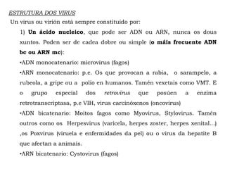 ESTRUTURA DOS VIRUS
Un virus ou virión está sempre constituido por:
1) Un ácido nucleico, que pode ser ADN ou ARN, nunca os dous
xuntos. Poden ser de cadea dobre ou simple (o máis frecuente ADN
bc ou ARN mc):
•ADN monocatenario: microvirus (fagos)
•ARN monocatenario: p.e. Os que provocan a rabia, o sarampelo, a
rubeola, a gripe ou a polio en humanos. Tamén vexetais como VMT. E
o grupo especial dos retrovirus que posúen a enzima
retrotranscriptasa, p.e VIH, virus carcinóxenos (oncovirus)
•ADN bicatenario: Moitos fagos como Myovirus, Stylovirus. Tamén
outros como os Herpesvirus (varicela, herpes zoster, herpes xenital...)
,os Poxvirus (viruela e enfermidades da pel) ou o virus da hepatite B
que afectan a animais.
•ARN bicatenario: Cystovirus (fagos)
 
