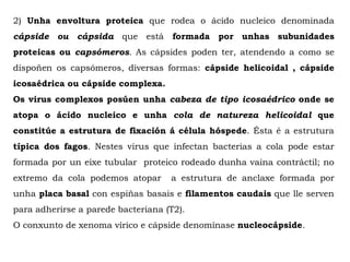 2) Unha envoltura proteica que rodea o ácido nucleico denominada
cápside ou cápsida que está formada por unhas subunidades
proteicas ou capsómeros. As cápsides poden ter, atendendo a como se
dispoñen os capsómeros, diversas formas: cápside helicoidal , cápside
icosaédrica ou cápside complexa.
Os virus complexos posúen unha cabeza de tipo icosaédrico onde se
atopa o ácido nucleico e unha cola de natureza helicoidal que
constitúe a estrutura de fixación á célula hóspede. Ésta é a estrutura
típica dos fagos. Nestes virus que infectan bacterias a cola pode estar
formada por un eixe tubular proteico rodeado dunha vaina contráctil; no
extremo da cola podemos atopar a estrutura de anclaxe formada por
unha placa basal con espiñas basais e filamentos caudais que lle serven
para adherirse a parede bacteriana (T2).
O conxunto de xenoma vírico e cápside denomínase nucleocápside.
 