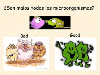 ¿Son malos todos los microorganismos?
Bad Good
 